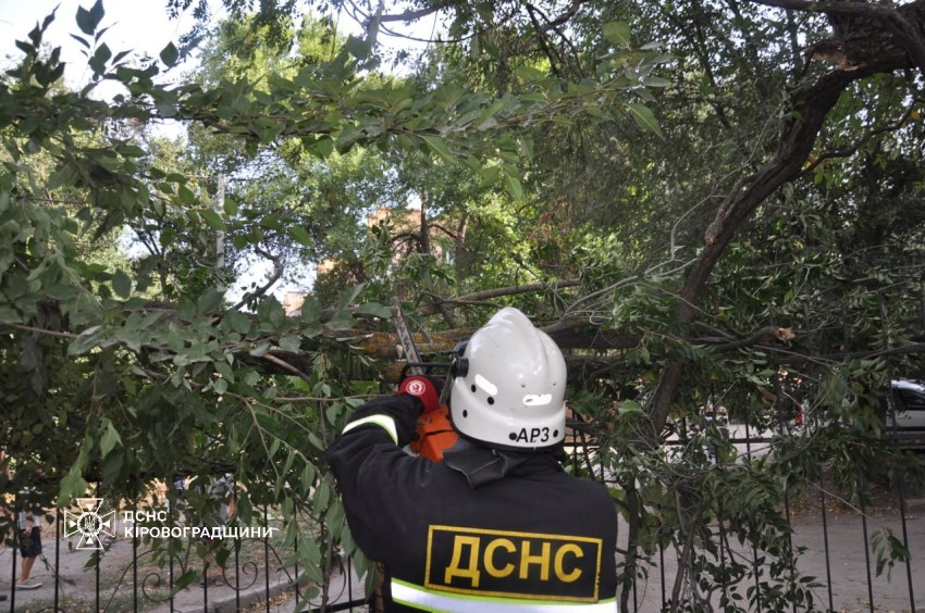 Негода на Кіровоградщині: рятувальники прибирали повалені дерева та гілки (ФОТОФАКТ)