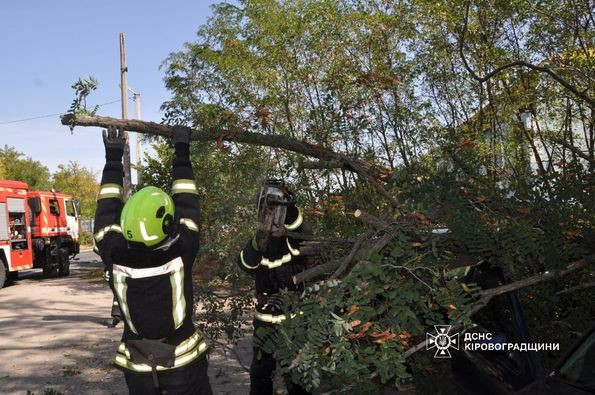 Негода на Кіровоградщині: рятувальники прибирали повалені дерева та гілки (ФОТОФАКТ)