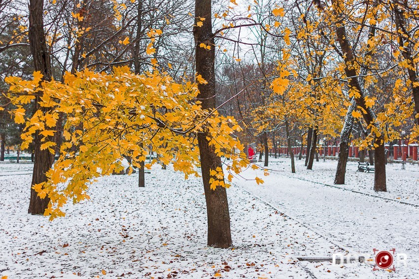 Фото Олексія Каприці