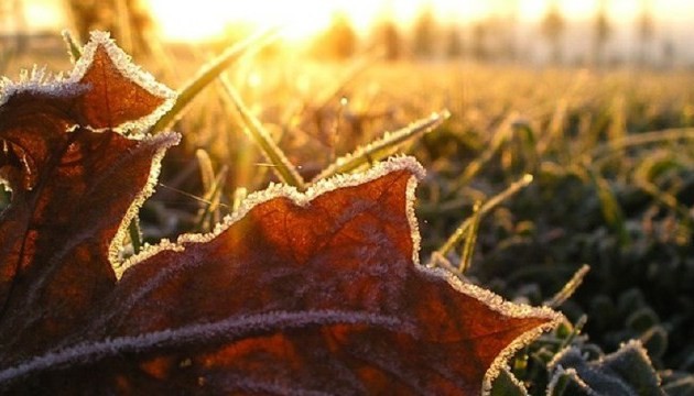 На Кіровоградщині очікують заморозки