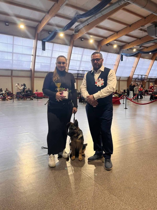 Вівчарка та джек-рассел-тер'єр з Кропивницького - серед переможців міжнародної виставки у Польщі (ФОТОФАКТ)