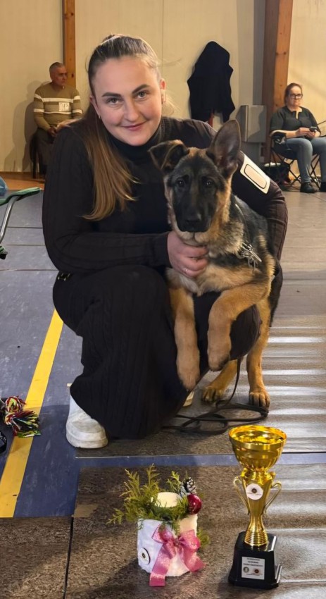 Вівчарка та джек-рассел-тер'єр з Кропивницького - серед переможців міжнародної виставки у Польщі (ФОТОФАКТ)