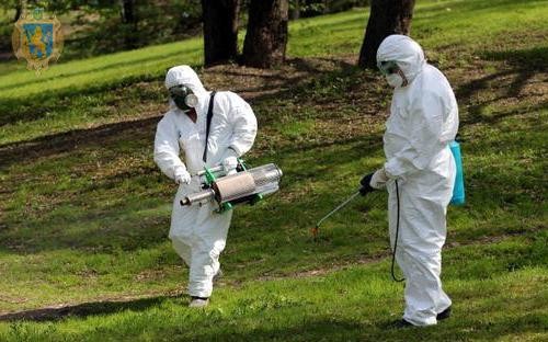 Кропивницький дендропарк оброблятимуть від кліщів